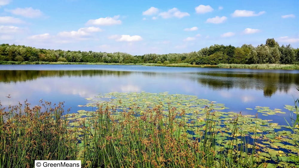 The Rise of Alternative Politics: The Green Party Offers a Different Vision for Makerfield